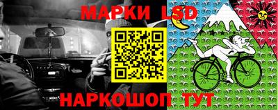 кокс Нальчик