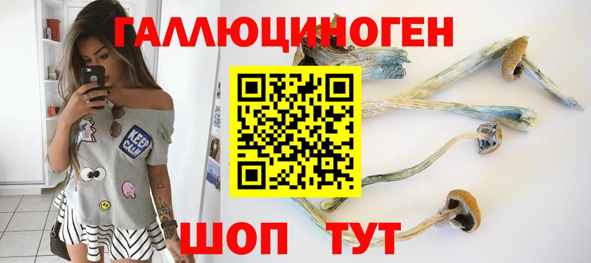 наркотики  Галлюциногенные грибы ЛСД  Вход с VPN  Галлюциногенные грибы GOLDEN TEACHER  Хабаровск 